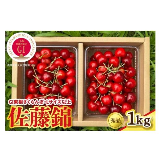 ふるさと納税 果物類 さくらんぼ 山形県 東根市 2026年産 GI東根さくらんぼ「佐藤錦」 秀品 Lサイズ以上 1kgバラ詰め(500g×2パック) 山形県 東根市 フルー…