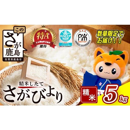 ふるさと納税 玄米 佐賀県 鹿島市 さがびより 令和7年産 佐賀県産 さがびより 5kg 白米 | ふるさと納税 米 お米 国産 佐賀県 鹿島市 ふるさと 大自然 安全 安…