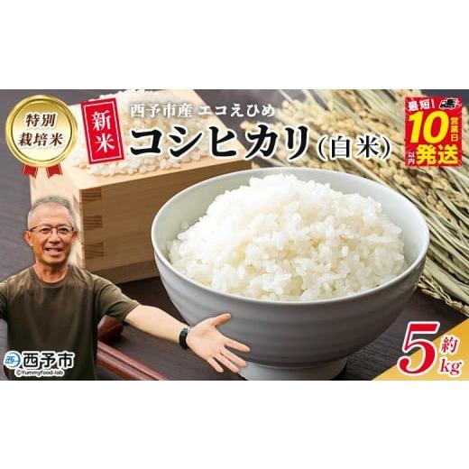 ふるさと納税 米 コシヒカリ 愛媛県 西予市 新米 令和7年産 西予市産 特別栽培米 エコえひめ コシヒカリ 白米 約5kg 国産 精米 農薬・化学肥料不使用 一等米 …