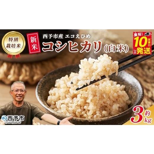 ふるさと納税 玄米 愛媛県 西予市 新米 令和7年産 西予市産 特別栽培米 エコえひめ コシヒカリ 玄米 約3kg 国産 農薬・化学肥料不使用 一等米 3キロ 愛媛県産 …