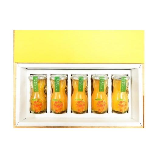 ふるさと納税 果汁飲料 マンゴー 沖縄県 宮古島市 当社人気商品 宮古島のしあわせマンゴー 小瓶5本セット 90g×5本 (T113)