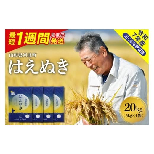 ふるさと納税 米 はえぬき 山形県 河北町 令和7年産米 最短1週間程度発送 はえぬき20kg (5kg×4袋)山形県産 米COMEかほく協同組合 ka024-045d-020-r7 最短1…