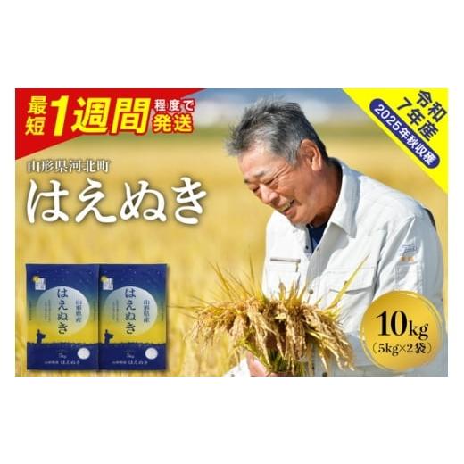 ふるさと納税 米 はえぬき 山形県 河北町 令和7年産米 最短1週間程度発送 はえぬき10kg(5kg×2袋) 山形県産 米comeかほく協同組合 ka024-045d-010-r7 最短1…