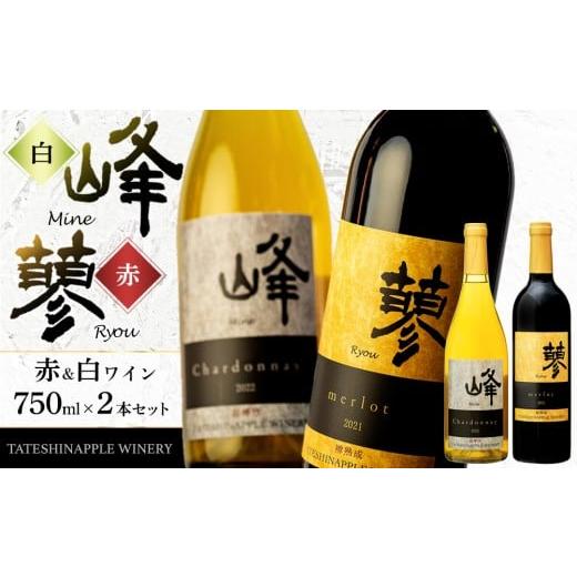 ふるさと納税 ワイン セット 長野県 立科町 たてしなップル 白ワイン峰シャルドネ2022・赤ワイン蓼メルロー2021