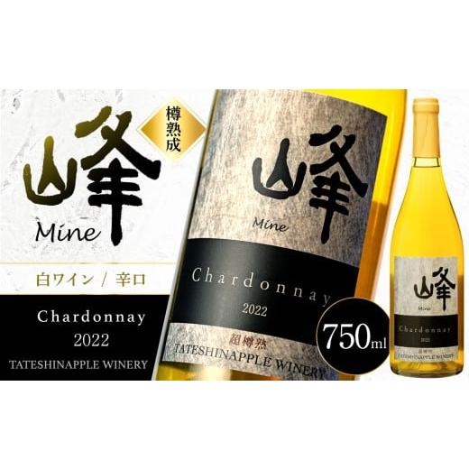 ふるさと納税 ワイン 白ワイン 長野県 立科町 たてしなップル白ワイン 峰シャルドネ2022
