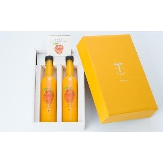 ふるさと納税 果汁飲料 マンゴー 沖縄県 宮古島市 宮古島のしあわせマンゴー 大瓶2本セット 500g×2本 (T114)