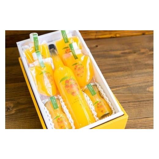 ふるさと納税 果汁飲料 マンゴー 沖縄県 宮古島市 宮古島のしあわせマンゴー よくばりバラエティセット(T115)