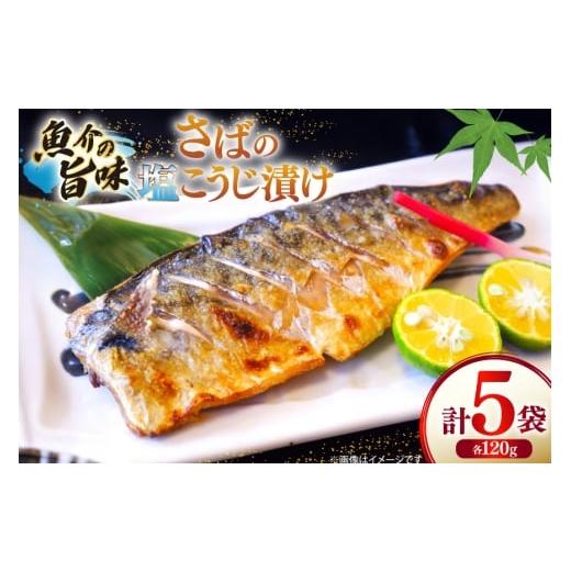 ふるさと納税 魚貝類 長崎県 平戸市 鯖 さば 漬け魚 漬魚 塩麹 塩こうじ 冷凍 魚 切り身 サバの塩こうじ漬け 5袋 (約120g/袋) ひかり 長崎県 平戸市 hr42bgy4…