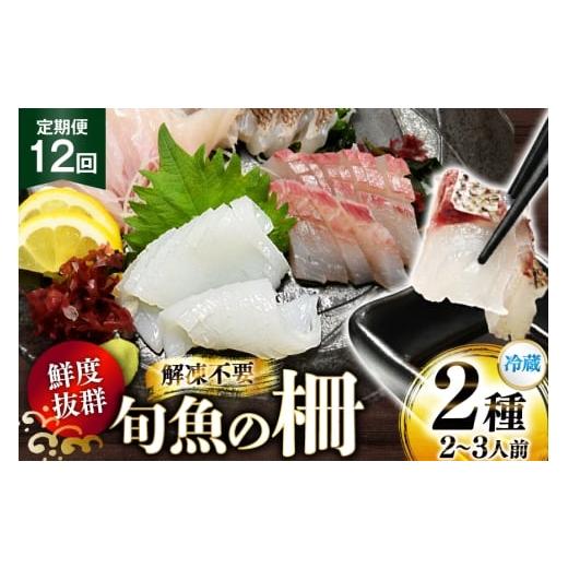 ふるさと納税 イカ 長崎県 平戸市 刺身 鮮魚 旬魚 の柵2種 セット (刺身1種&amp; イカ 1種)(2〜3人前 12回 定期便 舘浦漁業 長崎県 平戸市 hr42bgy420046 …