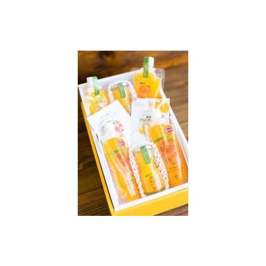 ふるさと納税 果汁飲料 マンゴー 沖縄県 宮古島市 宮古島のしあわせマンゴー SoSweetセット(T116)