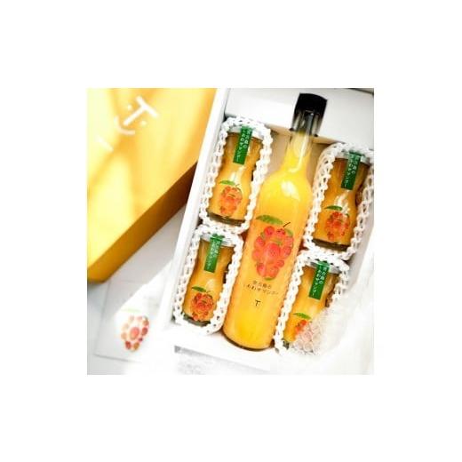 ふるさと納税 果汁飲料 マンゴー 沖縄県 宮古島市 宮古島のしあわせマンゴー しあわせおすそ分けセット(T117)