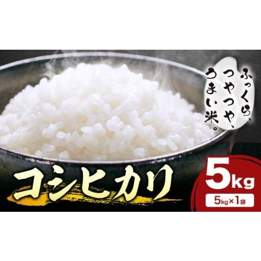 ふるさと納税 米 コシヒカリ 熊本県 苓北町 米 白米 コシヒカリ 5kg 令和7年産 都呂々みかん生産者グループ[30日以内に出荷予定(土日祝除く)] 熊本県 苓北町…