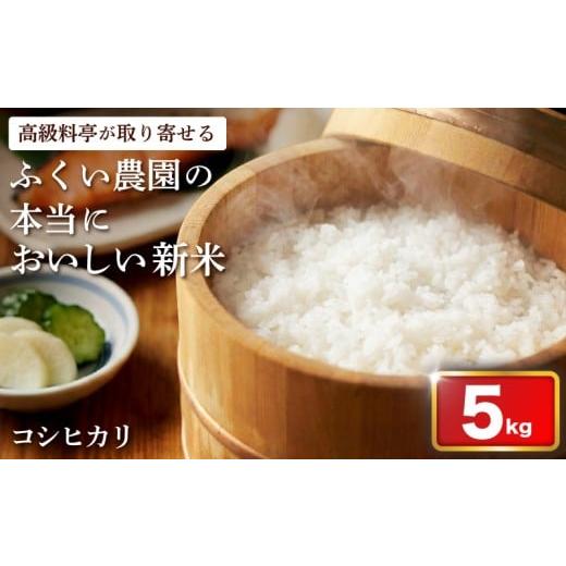 ふるさと納税 米 コシヒカリ 高知県 宿毛市 令和7年産新米 ふくい農園のおいしいお米 コシヒカリ 5kg スピード配送 低温 貯蔵 酵素 有機質 肥料 贈答 精米 白…