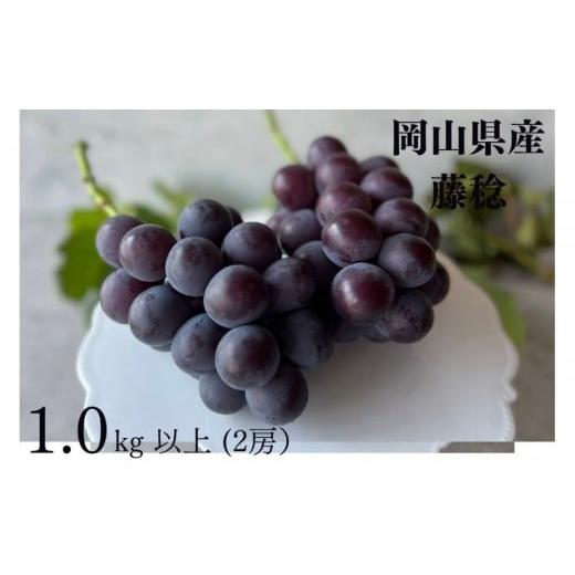 ふるさと納税 果物類 ぶどう 岡山県 岡山市 厳選 藤稔 1.0kg以上 2房 朝採れ ぶどう 葡萄 Kawahara Green Farm 岡山県産 2026年