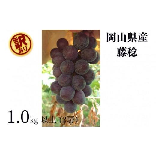 ふるさと納税 果物類 ぶどう 岡山県 岡山市 家庭用 藤稔 1.0kg以上 2房 朝採れ ぶどう 葡萄 Kawahara Green Farm 岡山県産 2026年