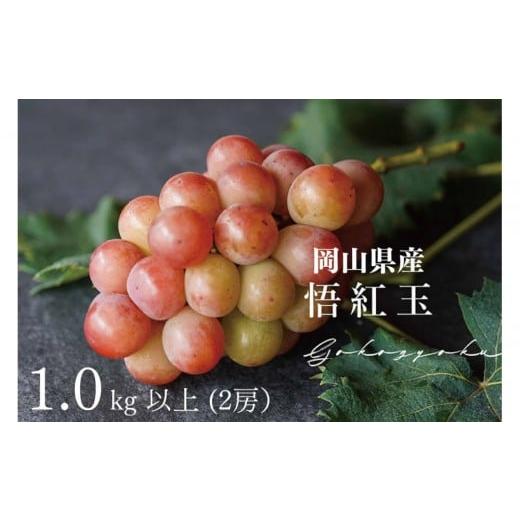 ふるさと納税 果物類 ぶどう 岡山県 岡山市 厳選 悟紅玉 旧ゴルビー 1.0kg以上 2房 朝採れ ぶどう 葡萄 Kawahara Green Farm 岡山県産 2026年