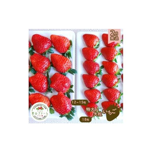 ふるさと納税 いちご 千葉県 八街市 やちまた里山ファームの完熟いちご 特大&大粒 ギフト用[2月発送]贈答用 いちご イチゴ 苺 大粒 完熟イチゴ 特大&大粒 …
