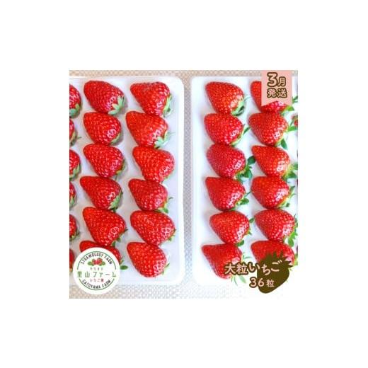ふるさと納税 いちご 千葉県 八街市 やちまた里山ファームの完熟いちご 大粒36個入り ギフト用[3月発送] 贈答用 いちご イチゴ 苺 大粒 完熟イチゴ 大粒36個…
