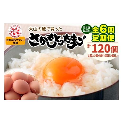 ふるさと納税 卵(鶏、烏骨鶏等) 神奈川県 伊勢原市 定期便/3ヶ月 月2回 全6回 さかもとのたまご 20個 (18個+割れ保証2個) 合計120個|坂本養鶏 大山の麓…