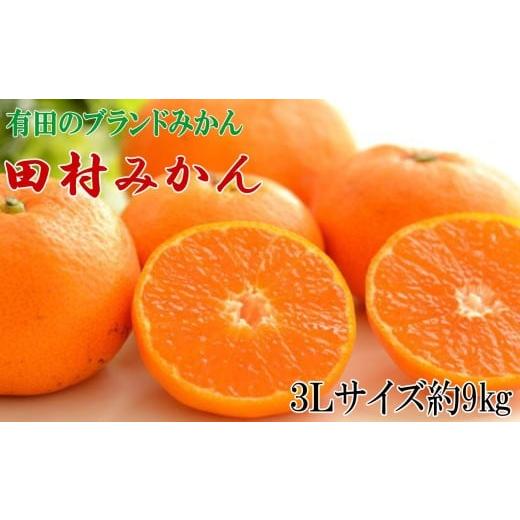 ふるさと納税 果物類 みかん 和歌山県 串本町 ブランドみかん 田村みかん大玉約9kg(3Lサイズ) 2025年11下旬〜2025年12月下旬頃に順次発送