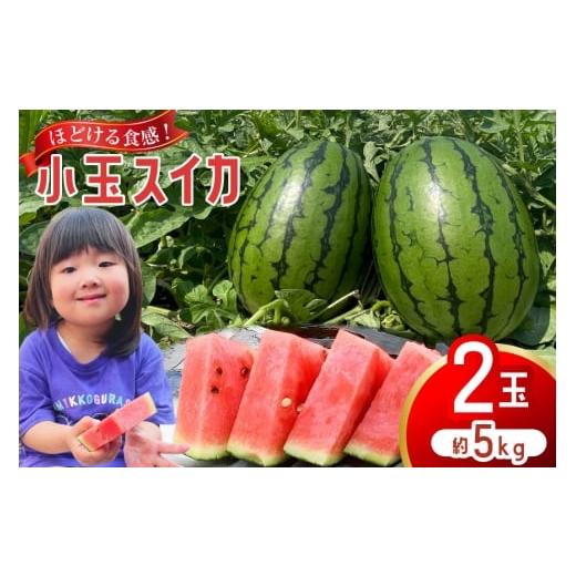 ふるさと納税 スイカ 長崎県 島原市 AJ461 令和8年度出荷分 Farm honda 小玉スイカ 2玉 計5kg 先行予約 数量限定 小玉 スイカ 西瓜 フルーツ 果物 長崎 長崎県…
