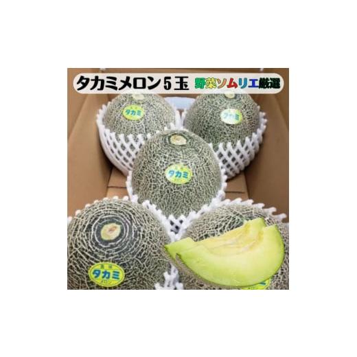 ふるさと納税 メロン メロン赤肉 愛知県 田原市 先行予約 道の駅の野菜ソムリエ厳選 タカミメロン 5玉 箱詰め メロン フルーツ 果物 お取り寄せ 渥美半島 産地…
