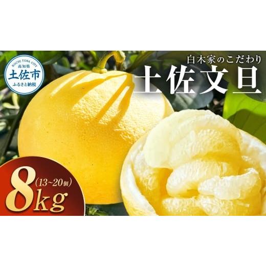ふるさと納税 みかん・柑橘類 高知県 土佐市 白木家のこだわり土佐文旦 露地 文旦 約8kg 13~20個入り L~3Lサイズ混合 ぶんたん ブンタン 果物 柑橘 フルーツ …