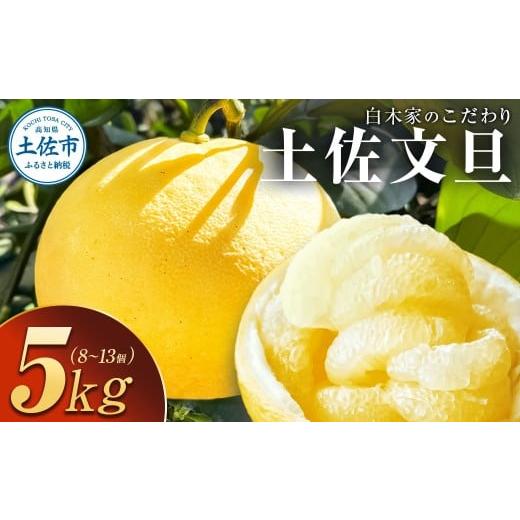 ふるさと納税 みかん・柑橘類 高知県 土佐市 白木家のこだわり土佐文旦 露地 文旦 約5kg 8~13個入り L~3Lサイズ混合 ぶんたん ブンタン 果物 柑橘 フルーツ お…