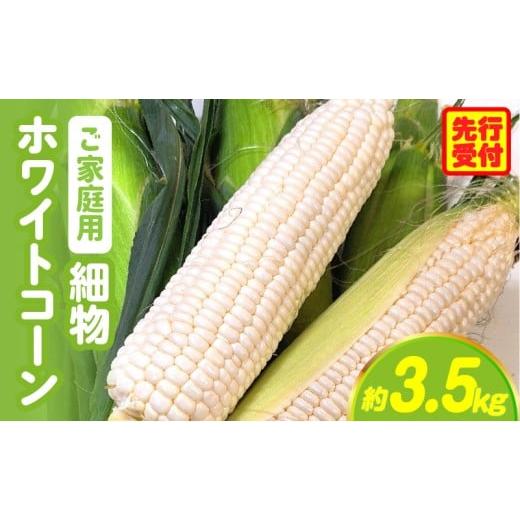 ふるさと納税 とうもろこし 香川県 三木町 訳あり ご家庭用細物ホワイトコーン約3.5kg | とうもろこし 野菜 コーン 旬の野菜 旬 季節の野菜 季節 贈答 贈り物…