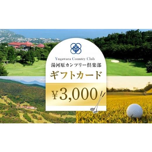 ふるさと納税 ゴルフ場利用券 神奈川県 湯河原町 湯河原カンツリー倶楽部ギフトカード 3,000円分
