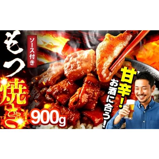 ふるさと納税 牛肉 ホルモン 福岡県 広川町 焼きもつ900g 広川町 / 株式会社POWER EAST CONNECTION AFAZ046 900g