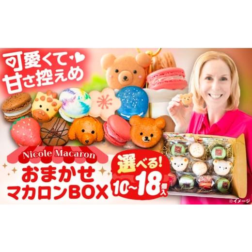ふるさと納税 焼菓子・チョコレート マカロン 愛知県 愛西市 おまかせ マカロンボックス 10個入り マカロン 焼菓子 スーツ 愛西市 / ニコールマカロン AEDA00…