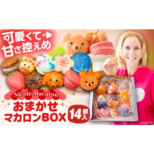 ふるさと納税 焼菓子・チョコレート マカロン 愛知県 愛西市 おまかせ マカロン ボックス 14個入 マカロン 焼菓子 スイーツ 愛西市 / ニコールマカロン AEDA0…