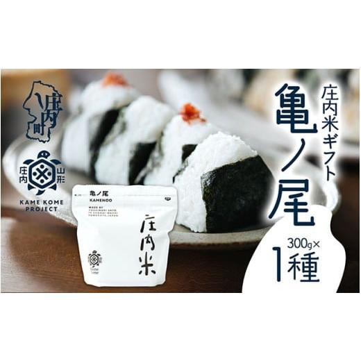 ふるさと納税 米 山形県 庄内町 山形庄内かめこめプロジェクト 庄内米ギフト 亀ノ尾 300g×1袋 令和7年産 2025年産 ブランド米 コシヒカリの原点、亀の尾発祥…