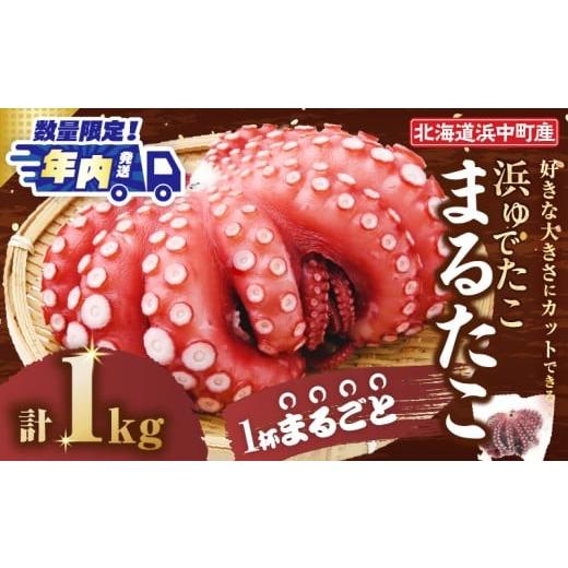 ふるさと納税 タコ 北海道 浜中町 令和7年12月発送分 浜ゆでたこ「まるたこ」たこ 一匹 一杯 刺身 海産物 魚介類 海鮮 北海道 _H0023-035-R712 令和8年1月発…