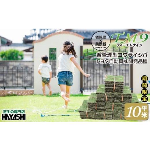 ふるさと納税 花・苗木 鹿児島県 鹿屋市 期間限定 生活応援 TM9(ティーエムナイン)省管理型コウライシバ トヨタ自動車(株)開発品種 10平米 KN080-007-03-c…