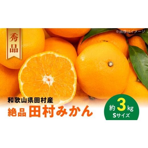 ふるさと納税 果物類 みかん 和歌山県 湯浅町 AB7430_[2025年11月〜発送] 和歌山特産品 プレミアムブランド 絶品 田村みかん 秀品 Sサイズ 約3kg
