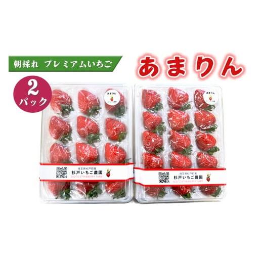 ふるさと納税 いちご 埼玉県 杉戸町 先行予約 [あまりん]朝採れ プレミアムいちご 2パック|埼玉 オリジナル 品種 糖度 高い 甘い 高級 イチゴ SugarBerry …