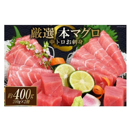 ふるさと納税 マグロ 宮城県 気仙沼市 年内発送 まぐろ 本マグロ背トロ 約400g(200g×2柵) 豊洋海産流通 宮城県 気仙沼市 20565850 中トロ 刺身 冷凍 2025 年…