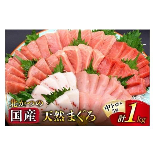 ふるさと納税 マグロ 宮城県 気仙沼市 年内発送 北かつのマグロ 中トロセット 北かつ商事 宮城県 気仙沼市 20565856 魚 刺身 柵 鮪 まぐろ マグロ 本マグロ …