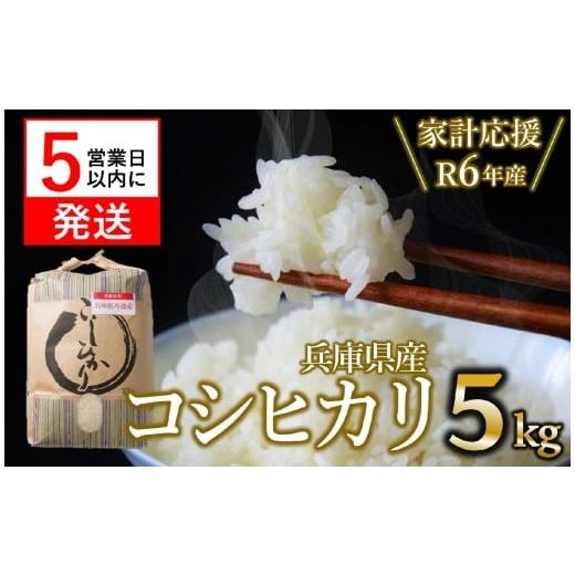 ふるさと納税 米 コシヒカリ 兵庫県 西脇市 スピード発送 家計応援_数量限定 令和6年産 コシヒカリ 5kg 白米 (11-56) 米 お米 5kg 5kg 兵庫県産 こしひかり …