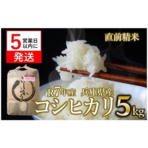 ふるさと納税 米 コシヒカリ 兵庫県 西脇市 スピード発送 新米 コシヒカリ 5kg 白米 令和7年産 米 お米 5kg 米5kg 兵庫県産 こしひかり コシヒカリ 西脇市産…