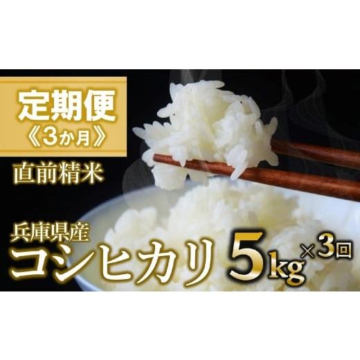 ふるさと納税 米 コシヒカリ 兵庫県 西脇市 定期便 3か月 コシヒカリ 白米5kg(3か月連続お届け)新米 2025年産 米 お米 米5kg お米5kg 兵庫県産 こしひかり …