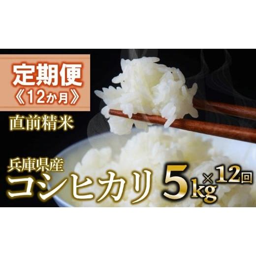 ふるさと納税 米 コシヒカリ 兵庫県 西脇市 定期便12か月 コシヒカリ 白米5kg(12か月連続お届け)新米 2025年産 米 お米 米5kg お米5kg 兵庫県産 こしひかり…