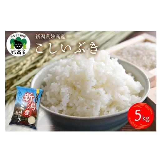 ふるさと納税 米 新潟県 妙高市 2026年1月下旬発送 令和7年産 新潟県妙高産こしいぶき5kg 2026年1月下旬発送