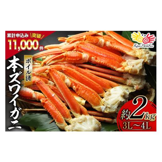 ふるさと納税 カニ ずわいガニ 宮城県 気仙沼市 お歳暮 ボイル済み 本ずわいがに 脚 3L〜4L 総重量 2kg カネダイ 宮城県 気仙沼市 20565894 カニ 蟹 ズワイガ…
