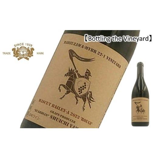 ふるさと納税 ワイン 赤ワイン 山形県 南陽市 結城酒店 限定 Bottling the Vineyard 「MASCUT BAILEY-A`ROUGE'2023 SHUICHI YAMAZAKI」 720ml 『(有)大浦葡…
