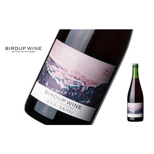 ふるさと納税 ワイン 赤ワイン 山形県 南陽市 酒井ワイナリー 「バーダップワイン 赤 2022」 750ml 『(有)酒井ワイナリー』 赤ワイン 辛口 ミディアムボディ …