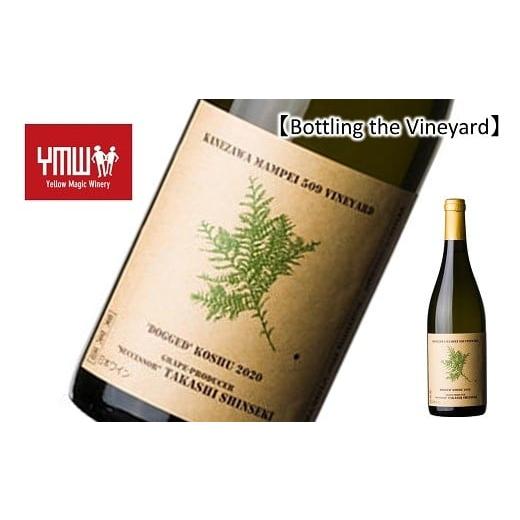 ふるさと納税 ワイン 白ワイン 山形県 南陽市 結城酒店 限定 Bottling the Vineyard 「'DOGGED'KOSHU 2024 EIKO SHINSEKI」 750ml 『Yellow Magic …