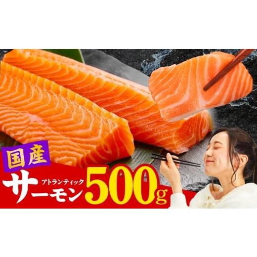 ふるさと納税 魚貝類 サーモン 大阪府 泉佐野市 国産アトランティックサーモン 500g ポーション 小分け 真空パック 訳あり サイズ不揃い 刺身 海鮮丼 さーもん…